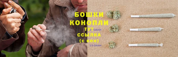 дживик Бородино
