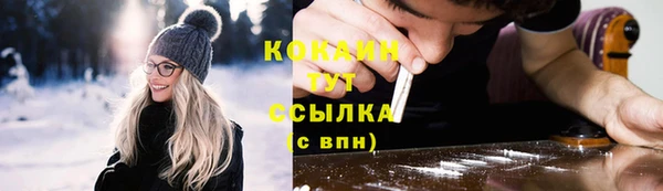 дживик Бородино
