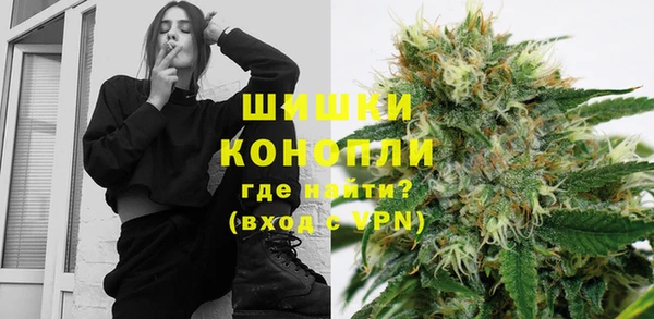 молекула духа Бронницы